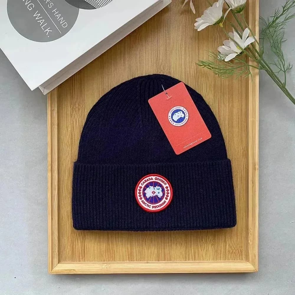 Canada Goose Arctic Program Beanie C32 Winter Hat — product photo on Sugargoo Spreadsheet