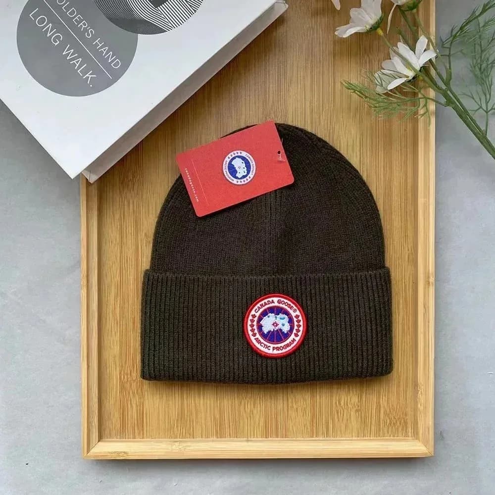 Canada Goose Arctic Program Beanie C40 Headwear — product photo on Sugargoo Spreadsheet