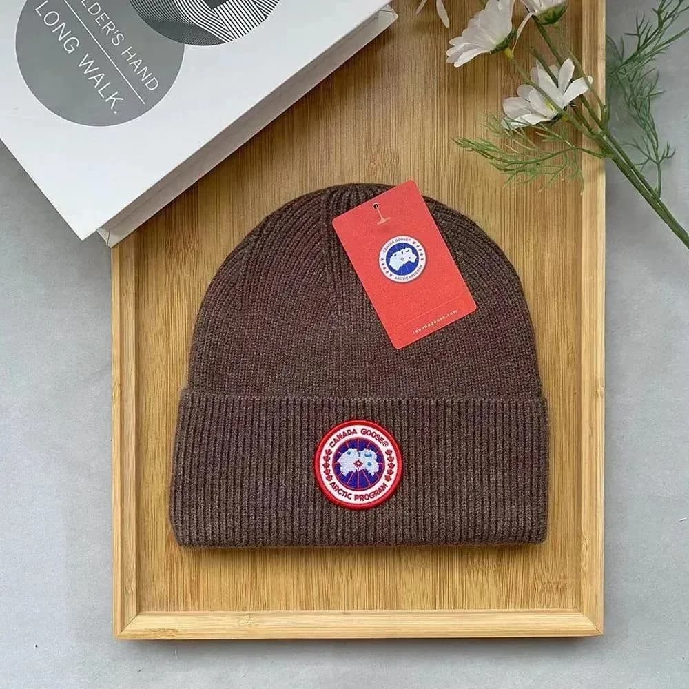Canada Goose Arctic Program Beanie C37 Headwear — product photo on Sugargoo Spreadsheet